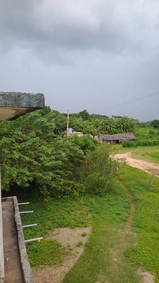 Camino de tierra y vegetación del barrio