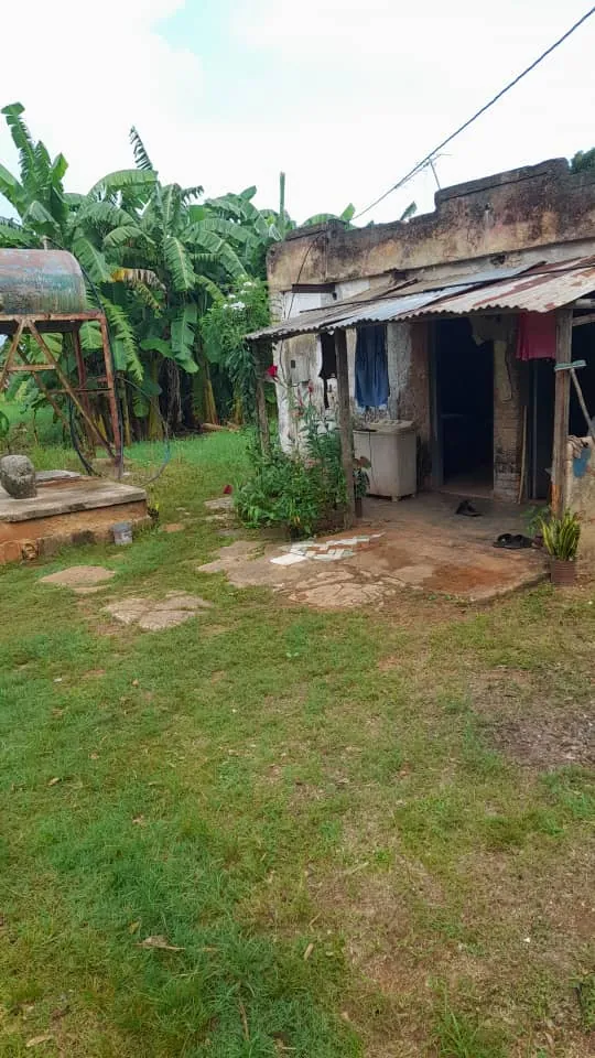 Casa de Liliana