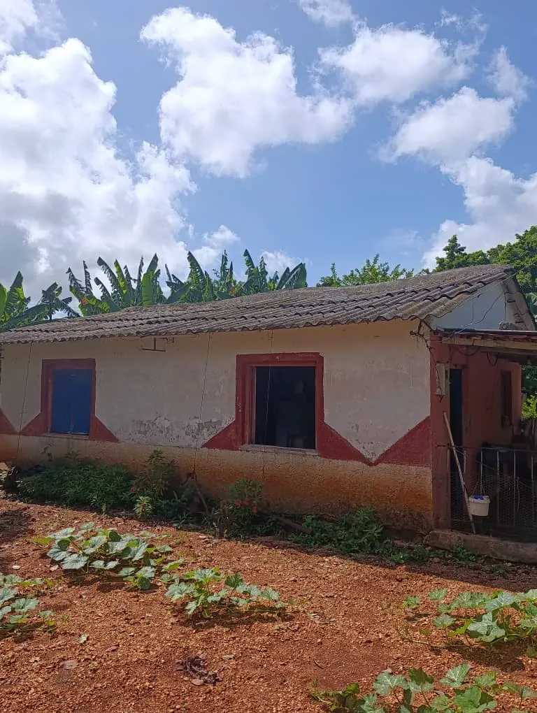 Casa de Marcelino, pintada de rosa, con huerto delante
